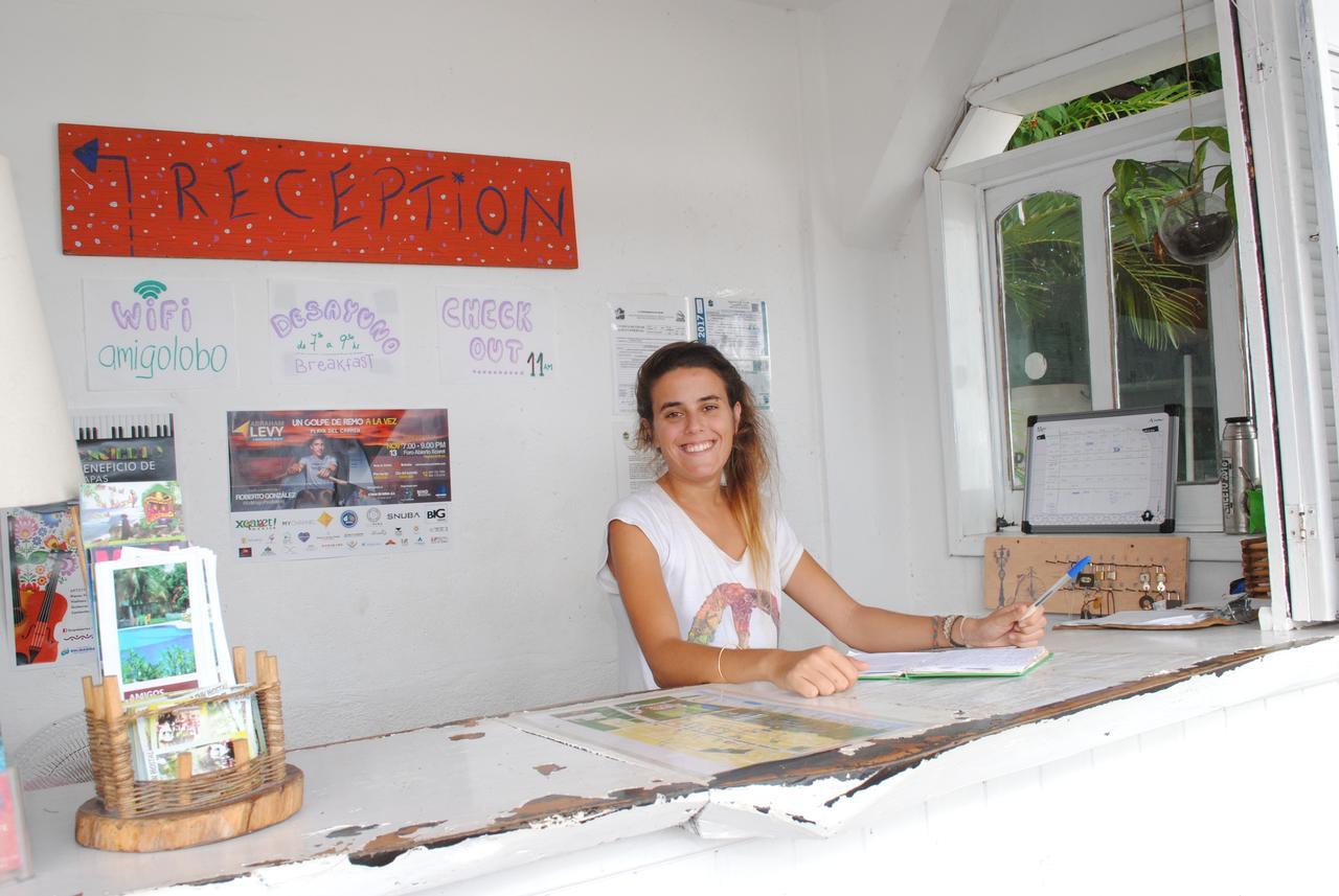 Lobo Inn Tulum Ostello *