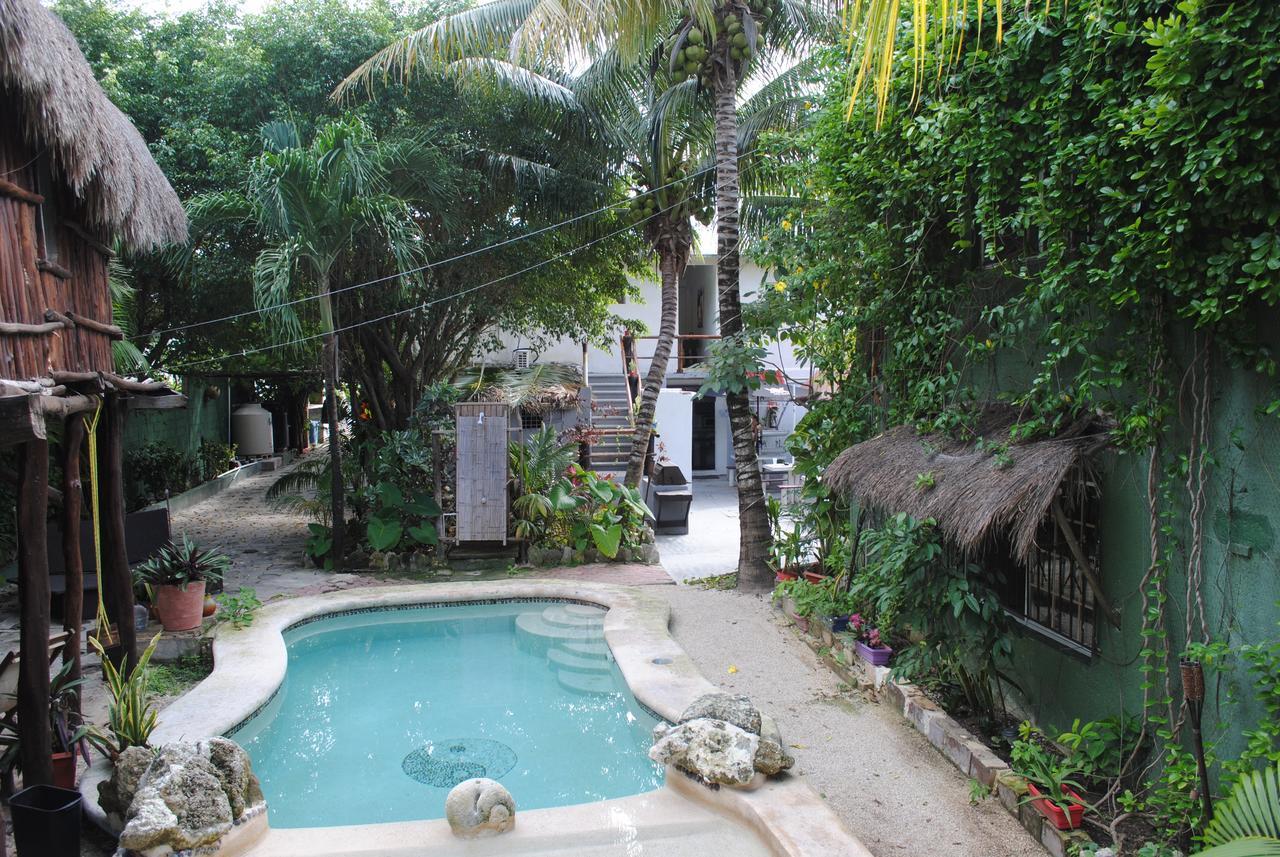 Lobo Inn Tulum Ostello *