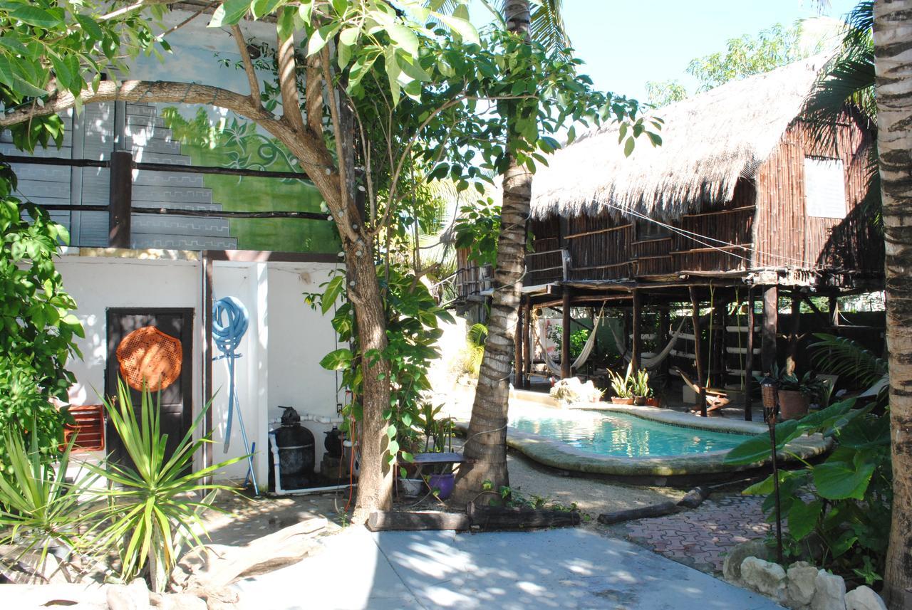 Lobo Inn Tulum Ostello Tulum